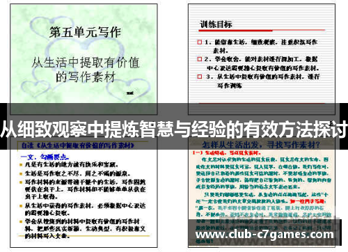 从细致观察中提炼智慧与经验的有效方法探讨