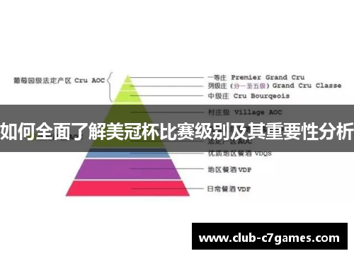 如何全面了解美冠杯比赛级别及其重要性分析