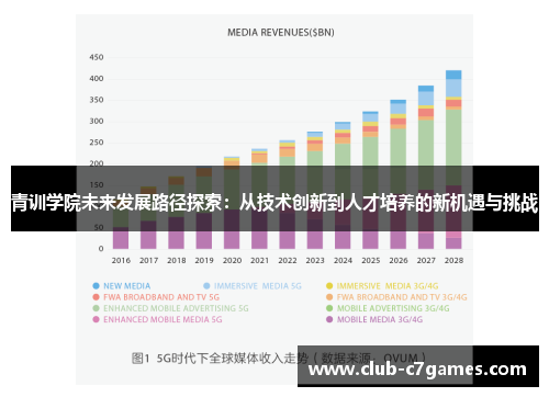 青训学院未来发展路径探索：从技术创新到人才培养的新机遇与挑战
